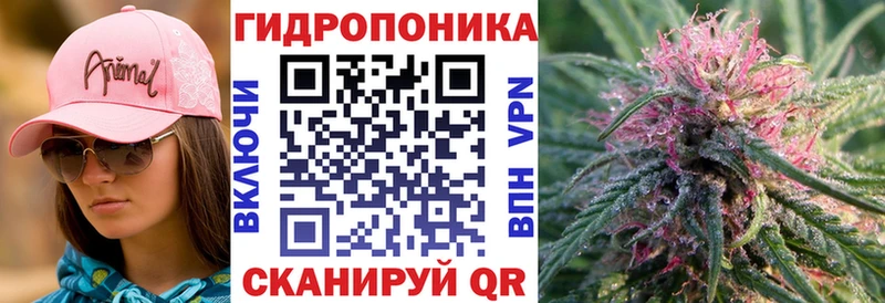 Где купить наркоту Людиново АМФЕТАМИН Гашиш Каннабис