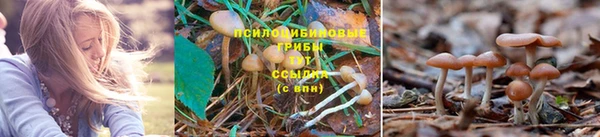 гидропоника Абаза